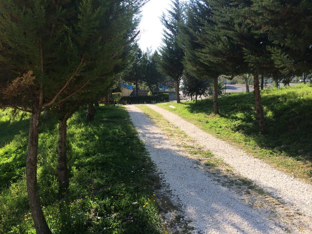 Hotel D.G. Garden Benevento Bagian luar foto