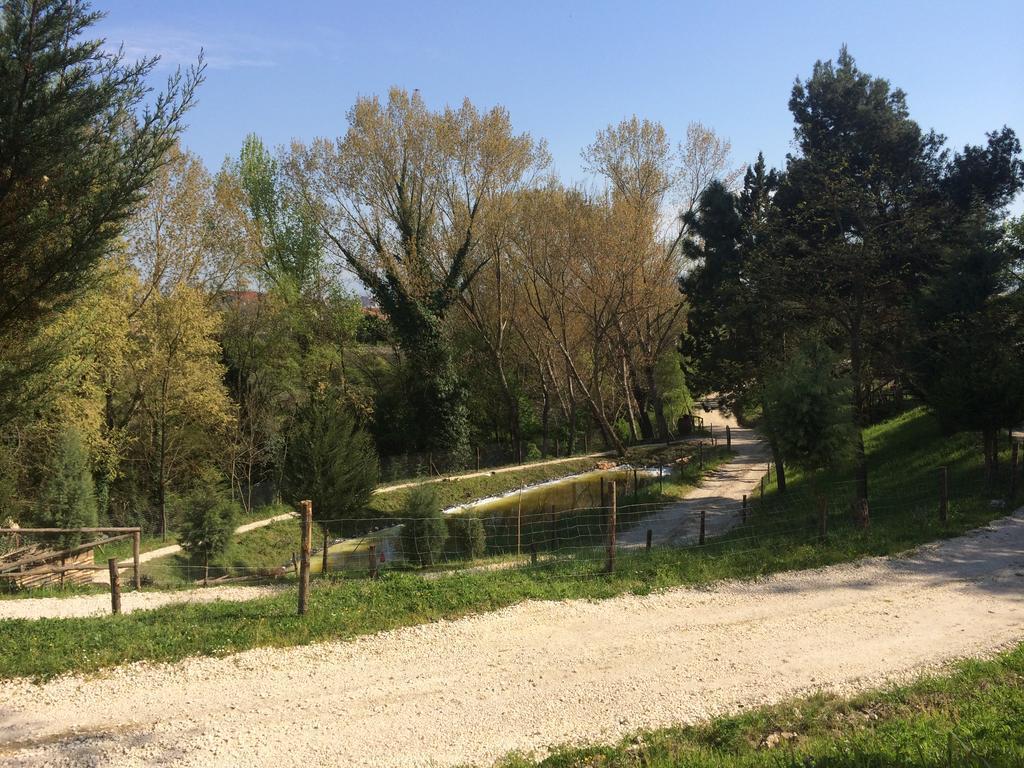 Hotel D.G. Garden Benevento Bagian luar foto